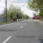 roman vest peticita 5346