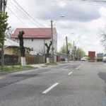 roman vest peticita 5352