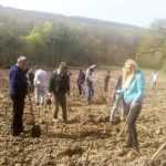 Polițiștii de la Sagna, din nou la plantări 3 politisti sagna plantari 3