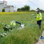 accident Traian 9286