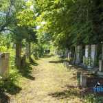 Blecher Fest cimitirul evreesc 0650
