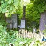 Blecher Fest cimitirul evreesc 0651