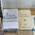 Blecher Fest la Casa Hogas 0704