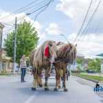 Blecher Fest spectacol stradal 0808