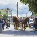 Blecher Fest spectacol stradal 0957