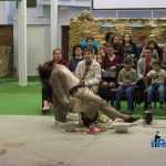 Blecher Fest Teatru experimental 1146