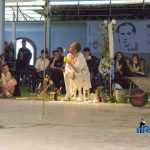 Blecher Fest Teatru experimental 1181