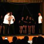 Festivalul de teatru Dan Alecsandrescu 1