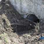 Valeni dupa inundatii 7191