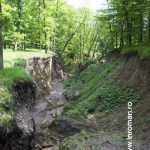 Valeni dupa inundatii 7238