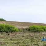 Valeni dupa inundatii 7248