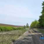 Valeni dupa inundatii 7249