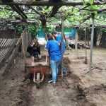 actiune voluntari Valeni