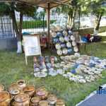 Targul Mesterilor Populari 7904