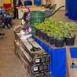 Galerie foto: Zilele Romanului 219 premiere concurs curatenie 7370