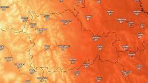 cod rosu canicula harta Neamt