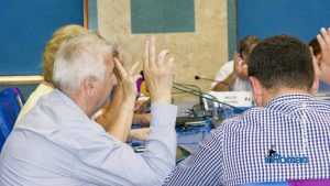 consiliu local CL Roman vot 3312