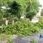 furtuna in Roman Biserica Adventista copaci rupti masini avariate 3523