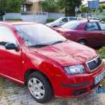 furtuna in Roman Biserica Adventista copaci rupti masini avariate 3526