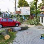 furtuna in Roman Biserica Adventista copaci rupti masini avariate 3529