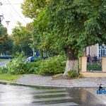 furtuna in Roman Biserica Adventista copaci rupti masini avariate 3530