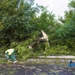 furtuna in Roman E85 copaci rupti 3541