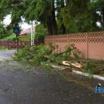 furtuna in Roman Spitalul de Psihiatrie copaci rupti 3562