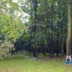 furtuna in Roman parc copaci rupti 3566