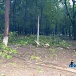 furtuna in Roman parc copaci rupti 3567