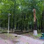 furtuna in Roman parc copaci rupti 3571