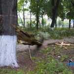 furtuna in Roman parc copaci rupti 3575