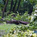 furtuna in Roman parc copaci rupti 3583