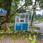 furtuna in Roman parc copaci rupti 3597