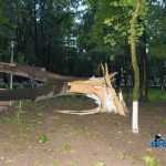 furtuna in Roman parc copaci rupti 3598