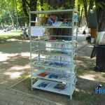 Parcul Municipal Roman 4292