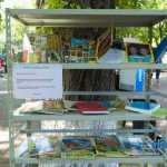 Parcul Municipal Roman 4293