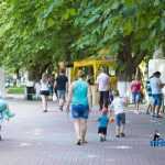 Parcul Municipal Roman 4294