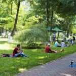 Parcul Municipal Roman 4296