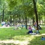 Parcul Municipal Roman 4298