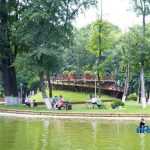 Parcul Municipal Roman 4318