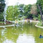 Parcul Municipal Roman 4331