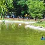 Parcul Municipal Roman 4353