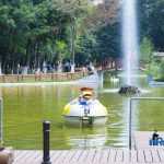 Parcul Municipal Roman 4382