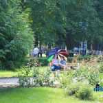 Parcul Municipal Roman 4393