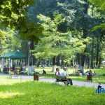 Parcul Municipal Roman 4394