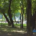 Parcul Municipal Roman 4412