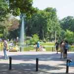 Parcul Municipal Roman 4426