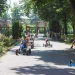 Parcul Municipal Roman 4431