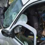 Accident grav la Secuienii Noi (foto) 7 accident secuienii noi 3920