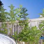 Catalin Jeleriu masina vandalizata Cotu Vames 3939